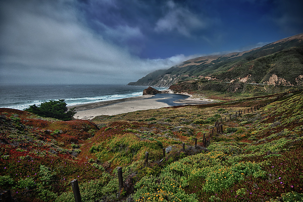 Highway Nr. 1 Flower Power - California by Andreas Freund Highway Nr. 1 Flower Power - California by Andreas Freund